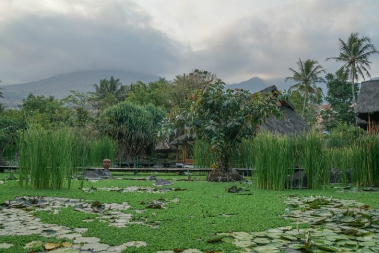 Kampung Sumber Alam: Relaxing Stay in Cipanas, Garut - Discover Your